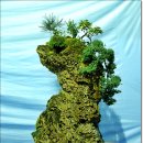 하늘재농원 이미지