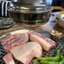 금수고기