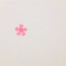 꽃님 이미지