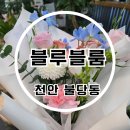 블루블룸 - 부천시 오정구 | 천안꽃다발 추천 불당동꽃집 블루블룸천안 24시 무인 꽃집 후기