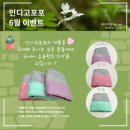 인디고포포