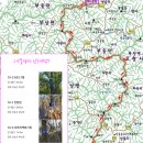 낙동19-10, 낙동18-09 피나무재. 전장현. 가사령 : 2025-12-13, 2025-11-16 이미지