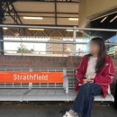 친구네 민박 | 시드니 한인민박 스트라모던하우스 3박 가격 솔직후기