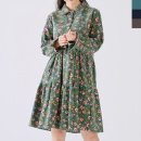 4117 이미지