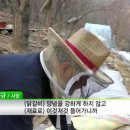 좋은날엔닭갈비