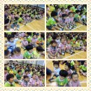 목천체육관 이미지