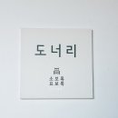 제주도 서귀포 숙소 소보록 요보록 펜션 1박 후기