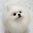 한길동물병원 이미지