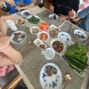 잘해줄개 | 좀 더 잘해줄 걸...