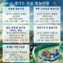 화도(창현) 물놀이공원 네이버블로그