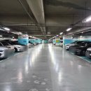 365플러스 의정부가능 | 의정부역피부과 젠틀맥스프로 플러스 제모 가격 후기