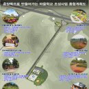 춘양목