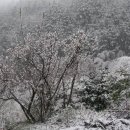 풍경농장 이미지