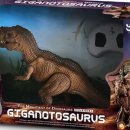 바니베어뮤지엄 이미지