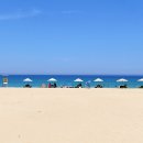 진솔민박 이미지