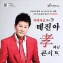 트로트 효 콘서트 이미지