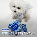 펫라이프 | 강아지 유산균 추천 라이프펫 프로바이오틱스 후기