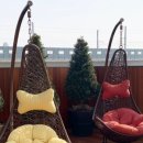 시간을 즐기다 이미지