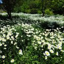 지리산정원 이미지