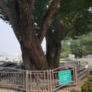 창원 합포성지 이미지