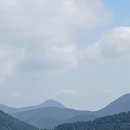 두벌 곰취잎 산채 이미지
