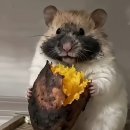 온그린 | 울산무거동카페 | 울산카페 온그린 솔직후기 내돈내산