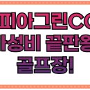소피아그린 | 소피아그린CC, 가성비 끝판왕 골프장! 27홀 후기와 꿀팁 공개