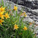 인곡마을회관 이미지