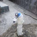 임촌동길 이미지