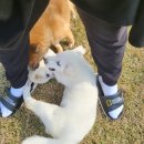 만수파크 이미지