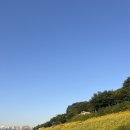 피자스쿨 기안점 | 6월 나의 여름