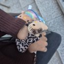 넷사이버 | 9월 넷 째주