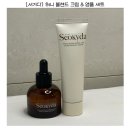 꿀수로 만든 화장품 | 서기다 허니 블렌드 크림 &amp; 앰플 솔직 후기!