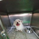 봉방천변길 이미지