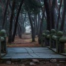 오늘의숲 이미지