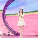 단아한 현의울림, 가야금 | 미스트롯4 홍성윤 인연 가사 원곡자: 가야금 병창 전공 대학생의 레전드 무대와 프로필 완벽 정리