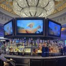 (주)유나이티드인터팜 | [신혼여행①] 미국 LA - 라스베가스 4시간 운전(+허츠렌터카) / 인앤아웃 / 핫앤쥬시 / PARK MGM