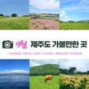 신화역사로 | [공지] 9월 제주도 가볼만한 곳 - 여행코스, 날씨, 옷차림