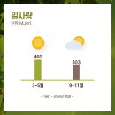 5월의봄볕 네이버블로그