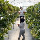 채림농장 이미지