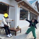 백년유자 이미지