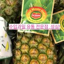 성심유통 이미지