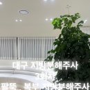 하프클리닉의원 이미지