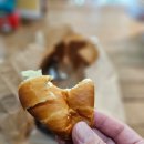 당퐁당