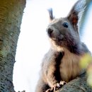 큰마을저수지 | [탐조 기록 #95] 울산 큰마을저수지_2024.04.10.