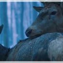 소울앤드바디 이미지