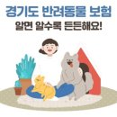 이천동물복지센터 이미지