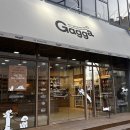 수원 강아지 사료 시식이 가능한 애견편집샵 수원가까 gagga 솔직후기
