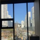 더본 동물병원 이미지