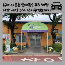 꿈틀작은도서관 | [구리시 곤충생태관] 시간 예약 주차 전시관 정보까지! 아이와 무료 체험활동 추천